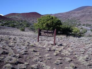 2003-04-10 11:19:44
